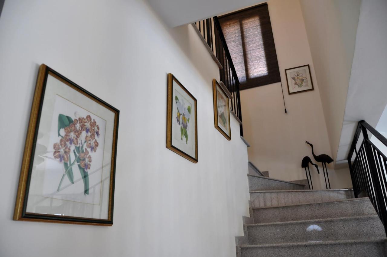 Villa Zefyros Neo Chorio Exteriér fotografie